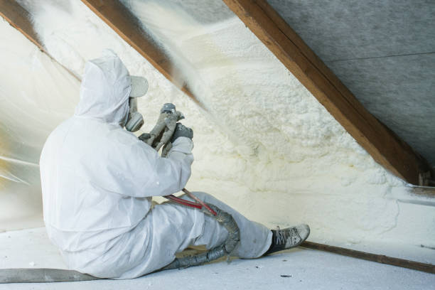 Best Spray Foam Insulation  in River Falls, WI